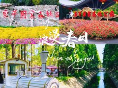 -东平国家森林公园