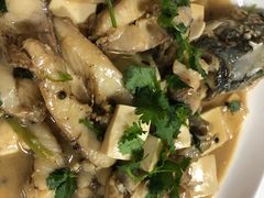 家常狗鱼-煲来饱去冷水鱼