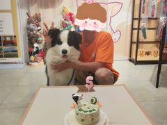 -趣玩宠物乐园寄养训犬训狗游泳池