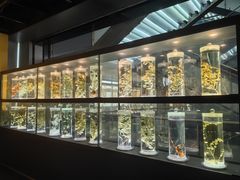 -广东中医药博物馆