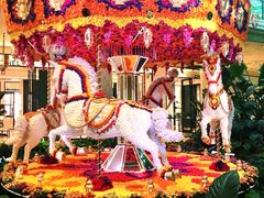 -拉斯维加斯永利酒店