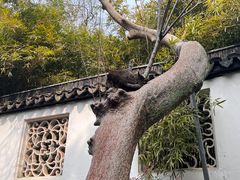 -西园寺素食(西园弄戒幢律寺店)