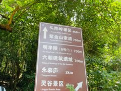 -紫金山山顶公园