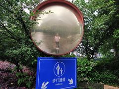 -乌村