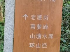 -滴水岩森林公园