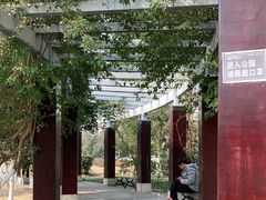 -沙河三洞古桥公园