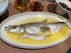 鸡汁大白鱼-科力淮扬村(广安门店)