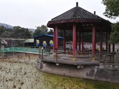 -舟山甬东休闲鱼庄(农家乐)