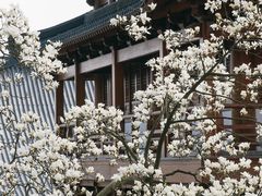 -径山寺