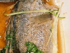 -海港酒楼·平价海鲜·茶点(小公园店)
