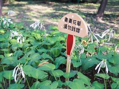 -北京石景山游乐园