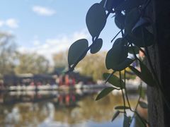-MAP CHA普洱茶馆(翠湖店)