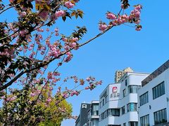 -长阳创谷