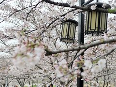 -苏州上方山国家森林公园