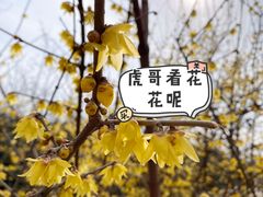 -西安浐灞国家湿地公园