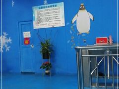 -灵玲国际马戏城