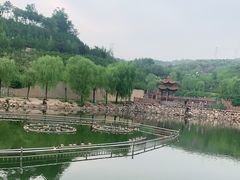 -五龙城郊森林公园
