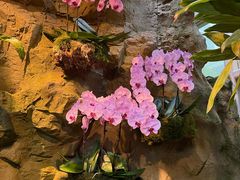-植物园哈利亚餐厅