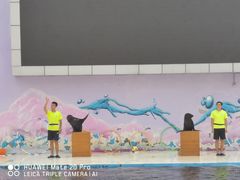 -北戴河圣蓝海洋公园