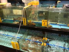-汇景花园酒家(基立下道店)