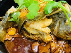 石锅鱼-鑫鸿达·海鲜闽菜热炒小馆(中山路店)
