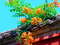 -西安市广仁寺