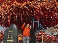 -嘉峪关方特欢乐世界