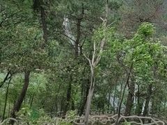 -石燕湖生态旅游景区
