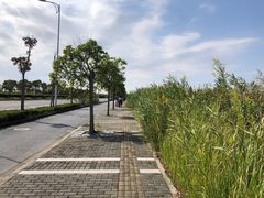 -春花秋色城市公园