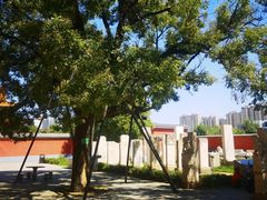 -药王庙(安国市)