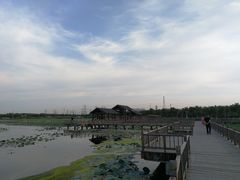 -天津东丽湖风景区
