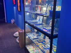 -浣熊部落ps4 ps5 switch 电玩(茶店子店)