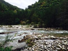 -黑河国家森林公园