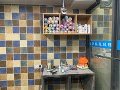 -瑞派名望志远动物医院·猫科·內科·异宠专科(直港大道店)