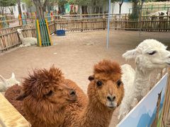 -水上乐园·欢乐世界