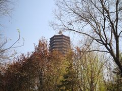 -玲珑塔公园