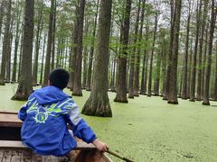 -渌洋湖湿地公园