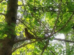 -白鹭湾湿地公园