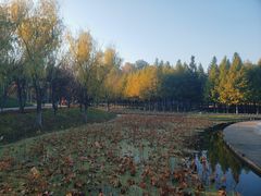 -泰州凤城河风景区-泰山公园