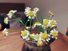 -祇园.穿藏·川藏沿线融合菜(新光天地店)