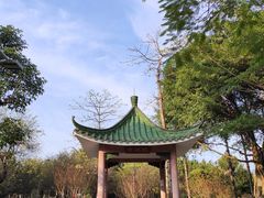 -名树园