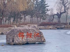 -羊亭河湿地公园