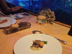 -迪拜帆船酒店海底餐厅