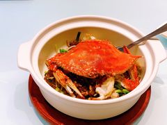 蟹黄粉丝煲-新海渔港·胶东海鲜家常菜·家宴(奥体中心店)