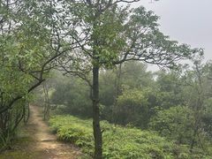 -羚羊峡古栈道森林公园