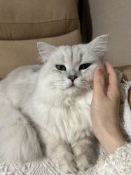 -UGIRL有个美甲