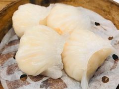 虾饺-粤厨点心专门店