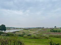 -空港花田景区