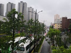 -陆家嘴世纪金融广场