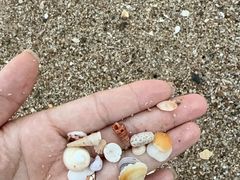 -三亚亚龙湾瑞吉度假酒店